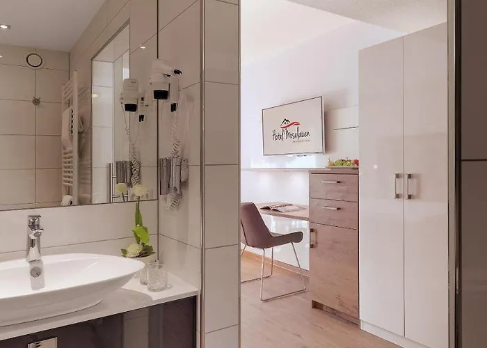 ホテル Moselauen 4*